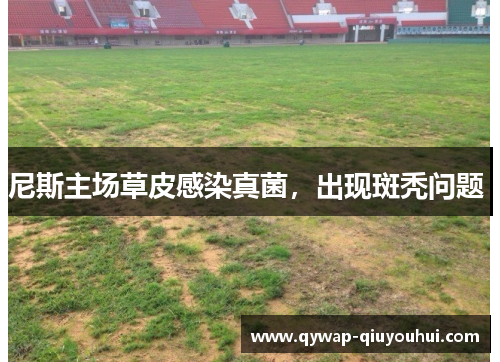 尼斯主场草皮感染真菌，出现斑秃问题 